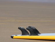 Global Surf School & Camp Surf Rentals